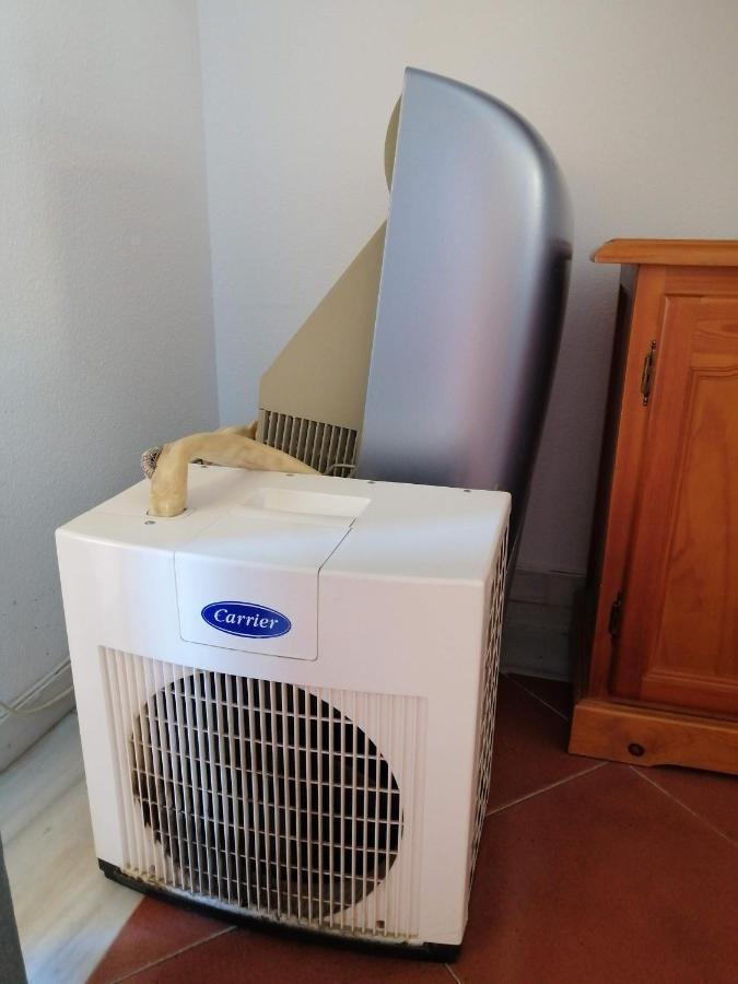 Apartamento Urbanizacion Alcaudon Isla Canela 1A Linea De Playa Eksteriør billede